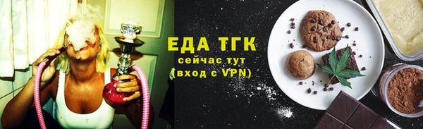 молекула духа Вяземский