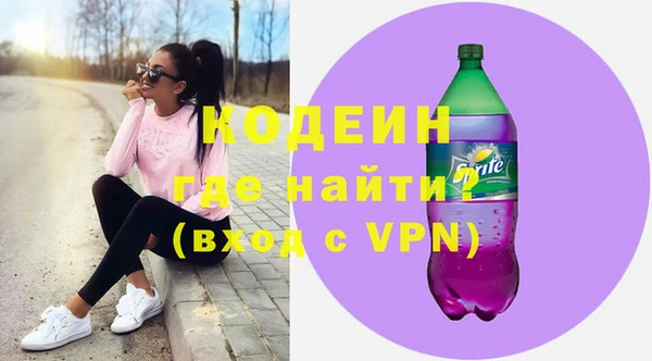 молекула духа Вяземский