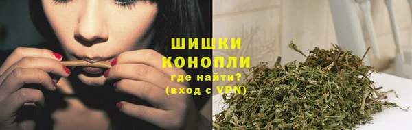 молекула духа Вяземский