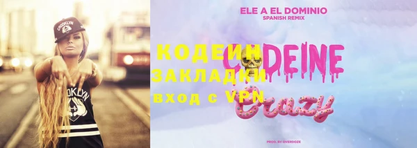 молекула духа Вяземский