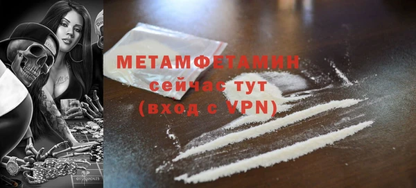 молекула духа Вяземский