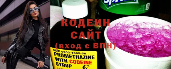 молекула духа Вяземский