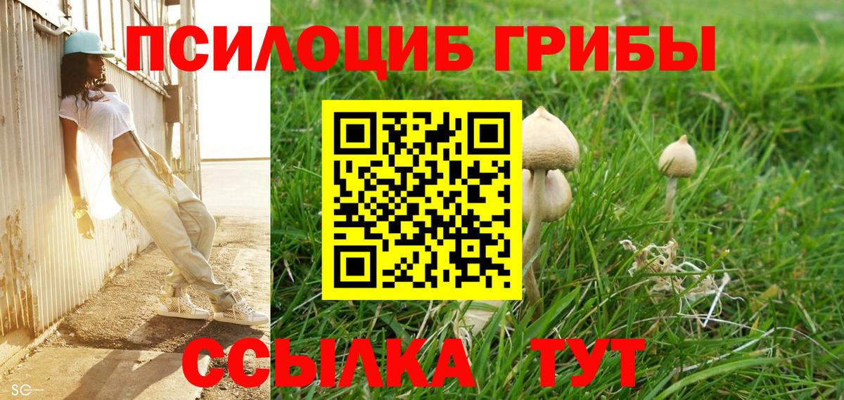 Псилоцибиновые грибы MAGIC MUSHROOMS  Вход с VPN  Назарово 