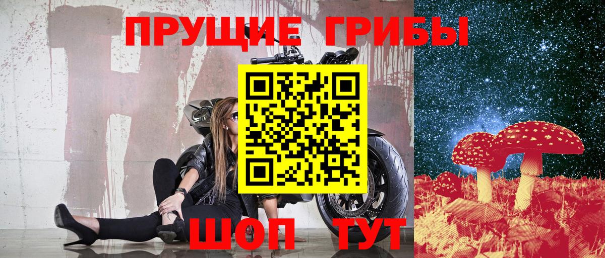 Псилоцибиновые грибы мицелий Назарово